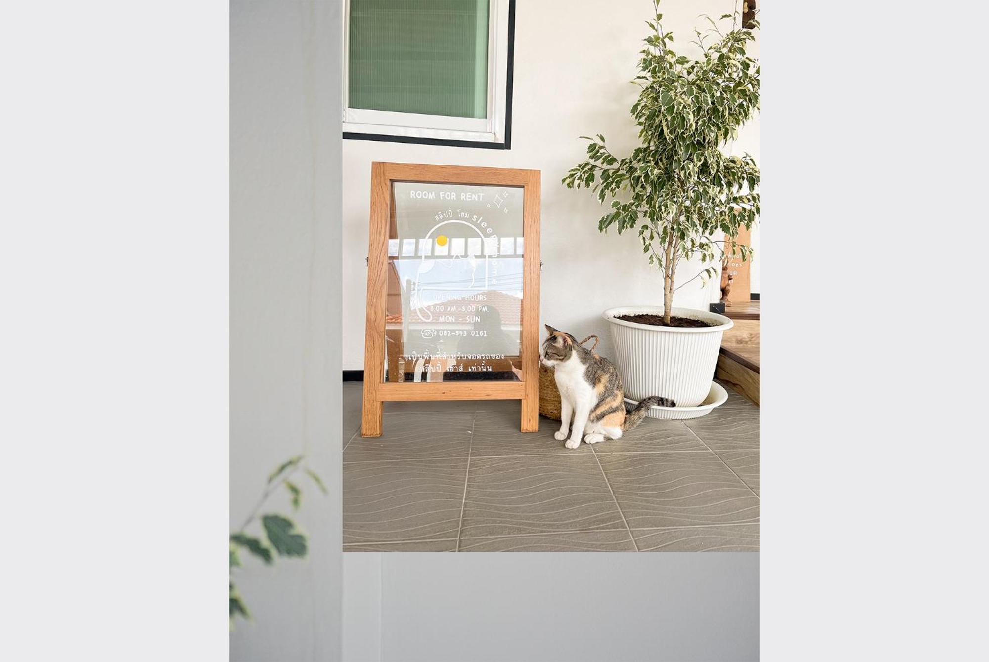 Sleepy House Chiang Rai Bed & Breakfast Ngoại thất bức ảnh