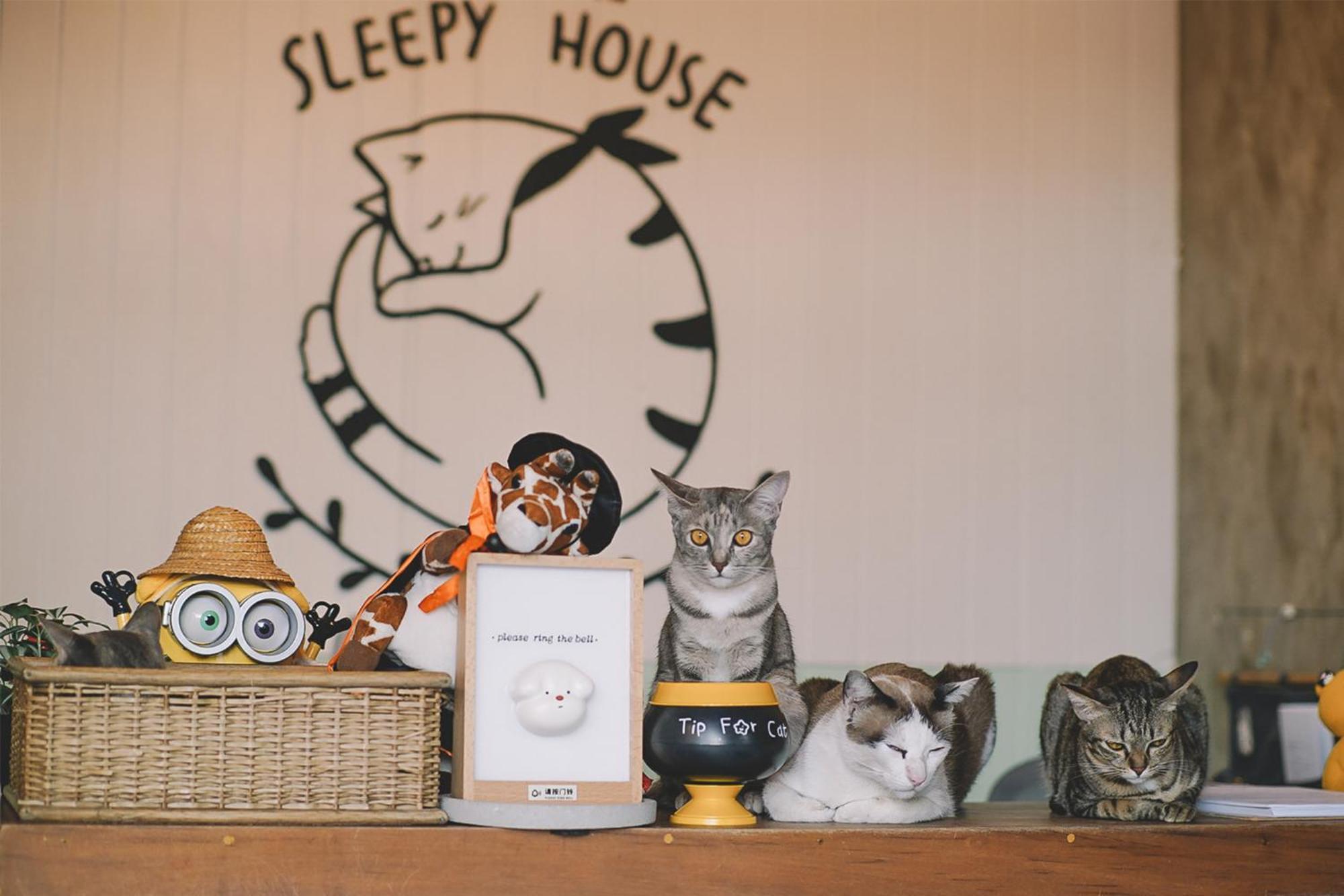 Sleepy House Chiang Rai Bed & Breakfast Ngoại thất bức ảnh
