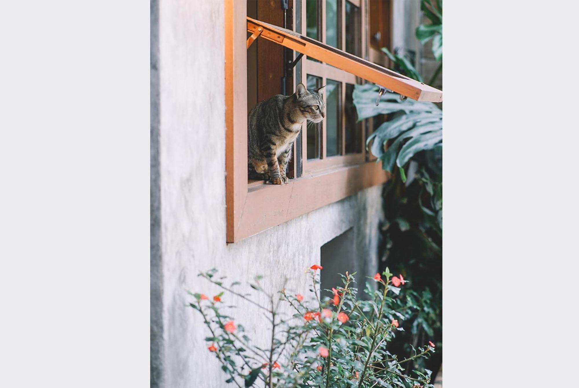 Sleepy House Chiang Rai Bed & Breakfast Ngoại thất bức ảnh