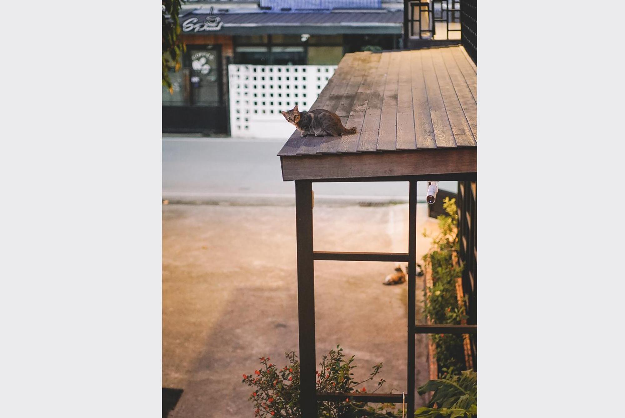 Sleepy House Chiang Rai Bed & Breakfast Ngoại thất bức ảnh